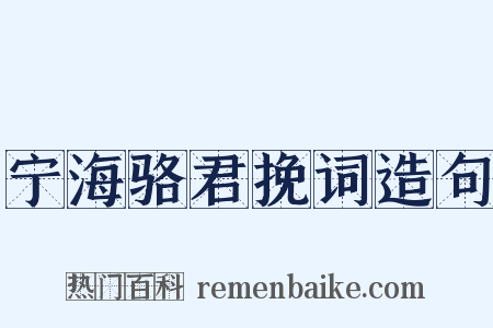 宁海骆君挽词造句是什么意思的图片